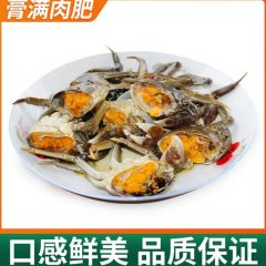 六月黄小螃蟹鲜活蟹大闸蟹现货公蟹新鲜水产一元蟹稻田蟹清水河蟹