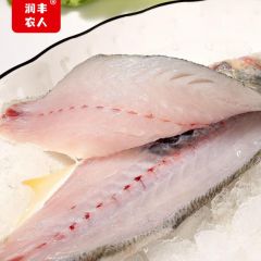 真马友鱼广东阳江本港新鲜海鲜水产午笋鱼送礼