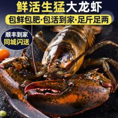 波士顿龙虾鲜活特大龙虾波龙礼盒小奥龙澳洲龙虾海鲜年货