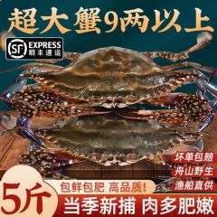 梭子蟹特大野生舟山大螃蟹新鲜冷冻蟹海鲜水产飞蟹白蟹肉公蟹顺丰