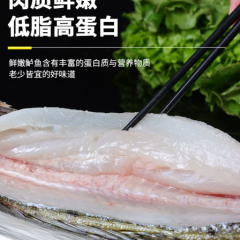 开背鲈鱼新鲜冷冻海鲈鱼新鲜活海鲜七星深海鲈鱼水产烤鱼批发商用