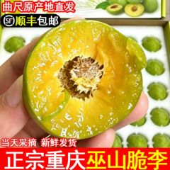 顺丰包邮重庆巫山曲尺脆李四川李子新鲜水果脱骨李当季整箱蜂糖李