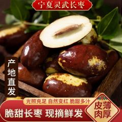 宁夏灵武长枣新鲜水果现摘现发香甜脆果皮薄核小人工采摘应季鲜枣