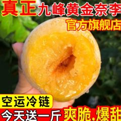 真正正宗韶关乐昌九峰山黄金奈李新鲜水果应季高山蜂蜜纯甜大李子