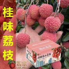 顺丰空运深圳特产南山进奉仙西丽荔枝桂味5斤老树糍糯米新鲜果园