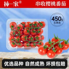 柿一家串收小番茄颗颗饱满即食生吃千禧圣女果顺丰包邮水果西红柿