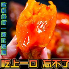 山东正宗烟薯25号蜜薯糖心流油红薯烤红薯专用沙地地瓜番薯山芋10