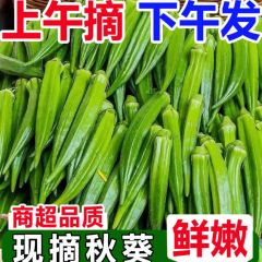 秋葵新鲜蔬菜当季现摘露天水果时令羊角豆黄生秋葵商用批发农家