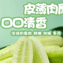 海阳白玉水果黄瓜新鲜生吃玉女小黄瓜青瓜孕妇应季蔬菜现摘5斤