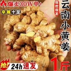 正宗云南小黄姜官方旗舰店新鲜生姜老姜现挖高山沙姜土姜月子姜